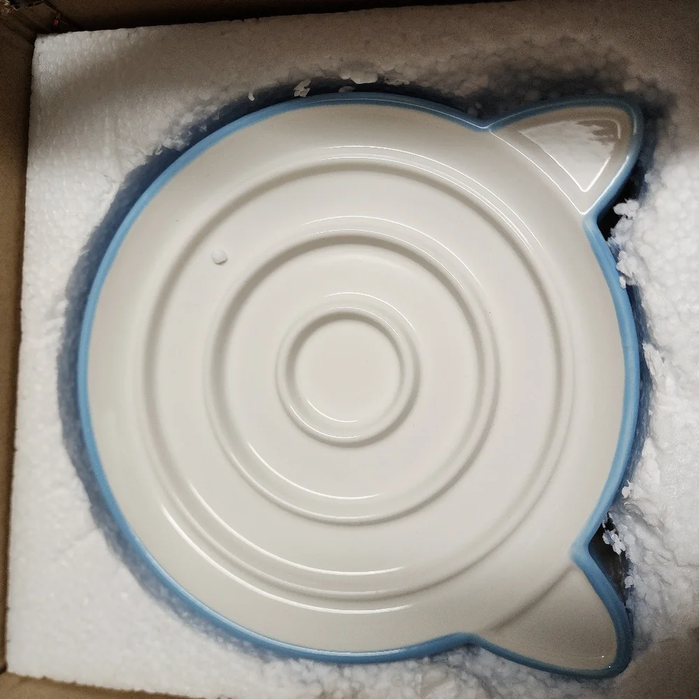 Raised pet slow feeder bowl